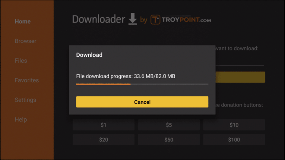 Firestick 12 6 3